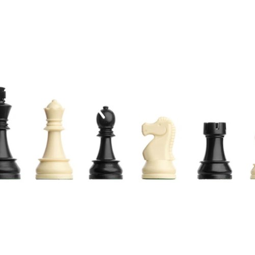 Ahşap Üzeri Pleksi Kaplama Satranç Zemini (54x54cm-UV Baskı) - DGT Satranç Taşları (95mm)
